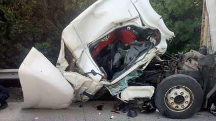 Kocaeli'de TIR kazası; şoför öldü