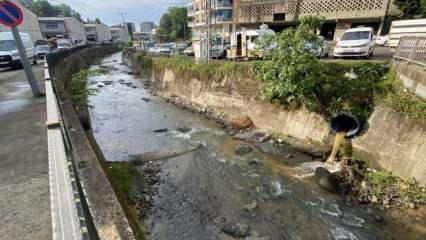 Rize’de derede balık ölümlerine inceleme başlatıldı