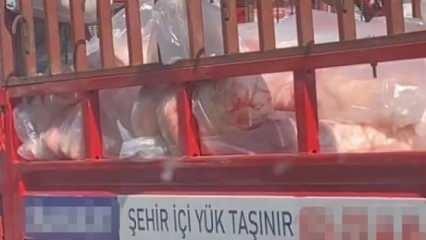  Siverek’te tepki çeken görüntü! Açık kasa kamyonette tonlarca et taşındı