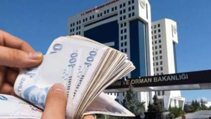 Tarım ve Orman Bakanlığı duyurdu: Üreticilere hayvan başına 18 bin TL'ye kadar destek!