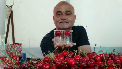 Çay bardağına sığmayan kirazları görenler gözlerine inanamadı! Fiyatı şaşırtabilir...