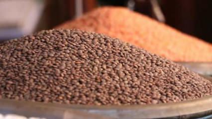 FAO: Küresel gıda fiyatları tahıl ve şeker fiyatlarındaki düşüşle mayısta geriledi
