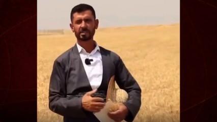 Iraklı çiftçiden Gazze’ye yürek ısıtan destek: Tüm buğday mahsulünü bağışladı