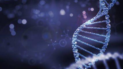 Milyonlarca kişinin DNA'sı satışa çıkarıldı!