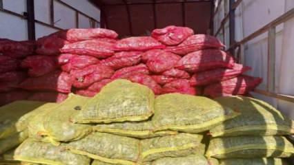 Sakarya’da 5,4 ton kaçak midye ele geçirildi: Değeri 3 milyon TL…