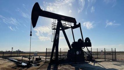 TPAO, Hazar Denizi'ndeki Şafak-Asiman Doğalgaz Sahası'na ortak olacak