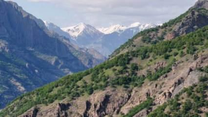 Tunceli’de mantar toplarken kaybolan kişiden acı haber