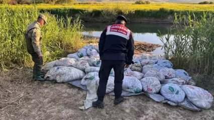 Van'da denetimlerde 22 ton 475 kilogram inci kefali ele geçirildi