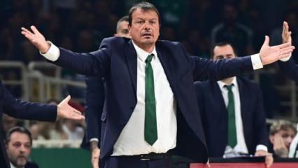 Yunanistan'da büyük rezillik! Türkiye'ye küfür ettiler, Ergin Ataman çılgına döndü