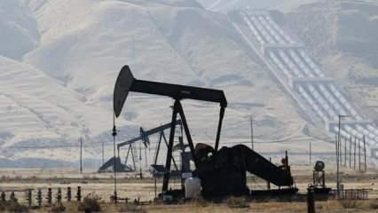ABD'nin petrol sondaj kulesi sayısı azaldı