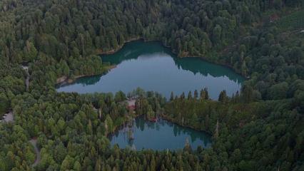Karadeniz’in saklı cenneti: Karagöl Tabiat Parkı