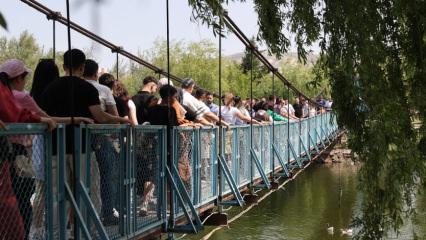 Şehre gelen burada sallanmadan gitmiyor: Ortak noktaları ise aynı
