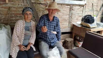 İki kardeş emekli olup köye döndü! Yetiştirdikleri bitkiyle bölgede ilk oldular 