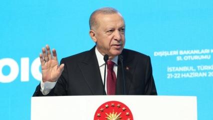 Başkan Erdoğan tek tek 12 şehir saydı: Kaderimiz aynı