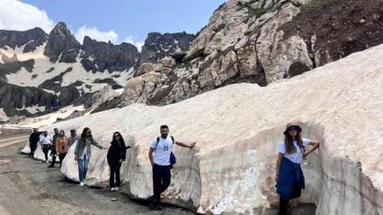 Burası Kuzey Kutbu değil: Buzullarımız hızla eriyor! Yetkililerin tek bir isteği var