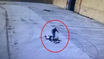 Diyarbakır’da başıboş sokak köpeğinin saldırdığı işçiyi arkadaşı kurtardı