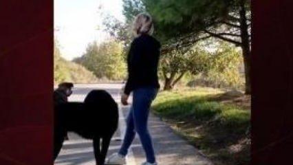 Hem cana kast etti hem beddua! Sürücülere sokak köpekli tuzak
