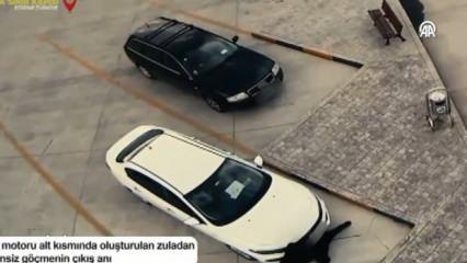 Organize suç örgütüne operasyon: Elebaşı dahil 9 şüpheli yakalandı