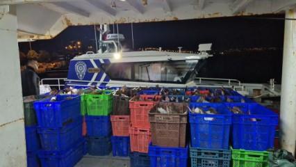 Yakaladığı 6 ton kalkan balığının sevinci kursağına dizildi: Şoke eden ceza! 
