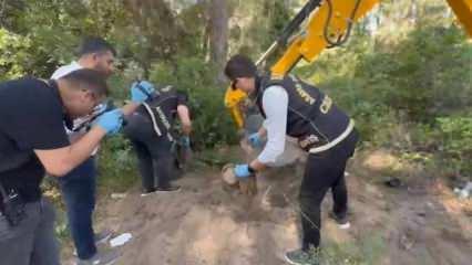 7 yıldır kayıp olan kadın cinayete kurban gitmiş