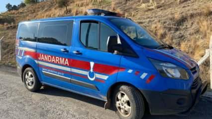 Aydın'da 17 yaşındaki Damla, hayvan damında ölü bulundu