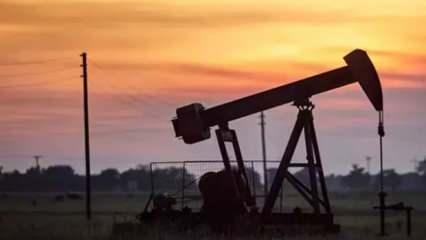 Brent petrolün varili 66,97 dolardan işlem görüyor!