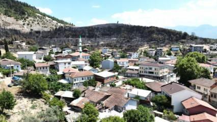 Ciğerimizi yakan görüntü! Yemyeşil orman manzaraları şimdi kömürlüğe döndü