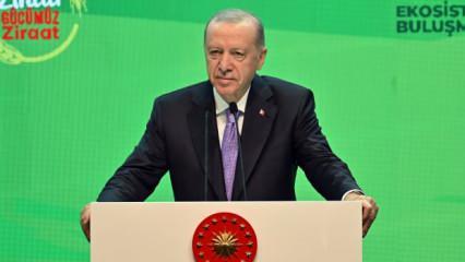 Cumhurbaşkanı Erdoğan'dan çiftçilere müjde! 'Sigortalı, sigortasız zararlar karşılanacak'