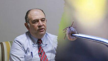 Kırım Kongo Kanamalı Ateşi (KKKA) aşısı için kritik gelişme: Tarih verildi!