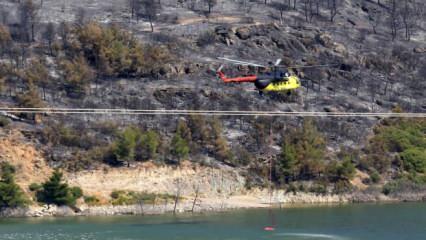 Manisa'nın Akhisar ilçesinde orman yangınına neden olan şüpheli tutuklandı