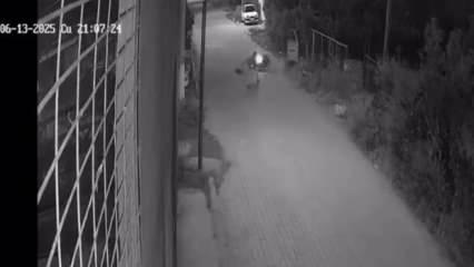 Motosikletiyle köpeğe çarpan sürücü 10 gün sonra öldü; kaza kamerada