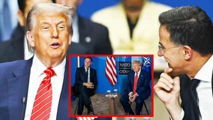 Rutte'den Trump'a "baba" benzetmesi: Zevk meselesi