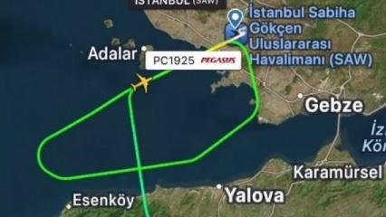 Sabiha Gökçen Havalimanı'nda pistte tavşan alarmı
