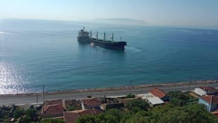 Tekirdağ'da kuru yük gemisi karaya oturdu