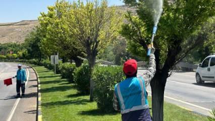 Gaziantep Büyükşehir, kentteki ilaçlama çalışmalarına hız kazandırdı 