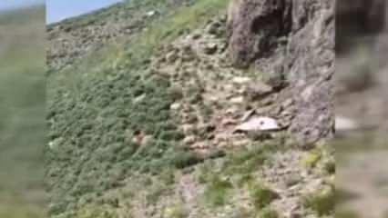 Yüksekova'da uçurumdan atlayan çok sayıda koyun telef oldu