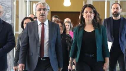 DEM Parti'den İmralı görüşmesi sonrası açıklama: Erdoğan ile görüşme tarihi nitelikte