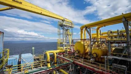 Enerji ithalatı faturası mayısta geçen yılın aynı dönemine göre azaldı
