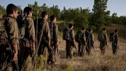 PKK silahları teslim etmeye başlıyor! DEM Parti tarih verdi