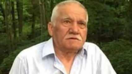 Giresun’da arı sokan çiftçi öldü