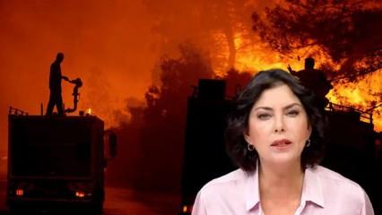 Yangını fırsat bildi! Şirin Payzın'dan İzmir provokasyonu!