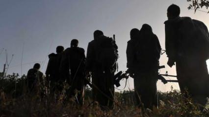 Terör örgütü PKK silahları bırakıyor! İlk adım için MİT devrede