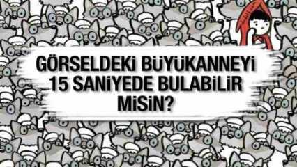 %99’u başarısız oluyor: Kurtlar arasında saklanan büyükanneyi 15 saniyede bul!