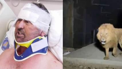 Aslanın saldırdığı &ccedil;ift&ccedil;i taburcu edildi: Hakkımı helal ederim