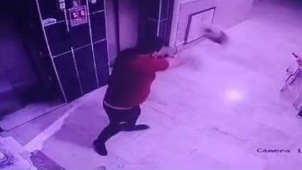 Konya'da hamile kediyi yere fırlatan insan müsveddesi gözaltına alındı