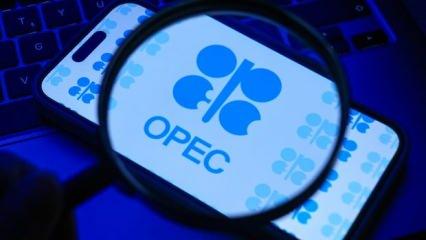 OPEC: Petrol 2050'de küresel enerji karışımındaki liderliğini koruyacak