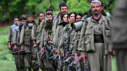 PKK silah bırakıyor! Törene kimler katılacak?