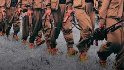PKK'nın silah bırakmasıyla ilgili yeni karar! Şehit haberi planları değiştirdi