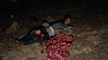 Sivrisinekten ka&ccedil;arken aslan saldırdı! G&uuml;ndem olan saldırı ile ilgili yeni gelişme