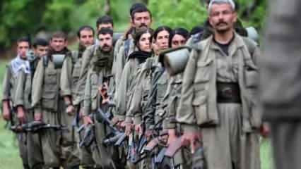 Türkiye 50 yıllık kamburundan kurtuluyor! Gözler PKK'nın silah bırakacağı günde...